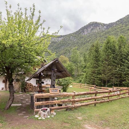 Lizina Hiska House Bohinj Villa Bohinjska Bistrica Eksteriør bilde