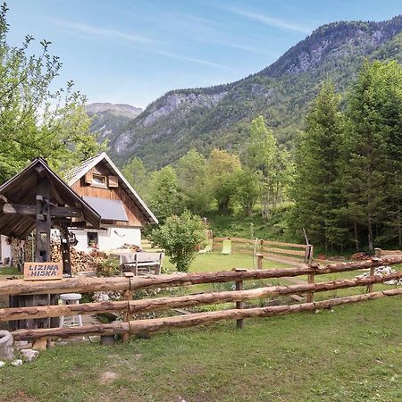 Lizina Hiska House Bohinj Villa Bohinjska Bistrica Eksteriør bilde
