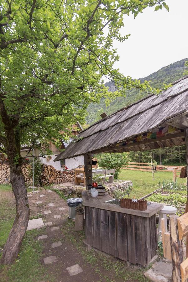 Lizina Hiska House Bohinj Villa Bohinjska Bistrica Eksteriør bilde
