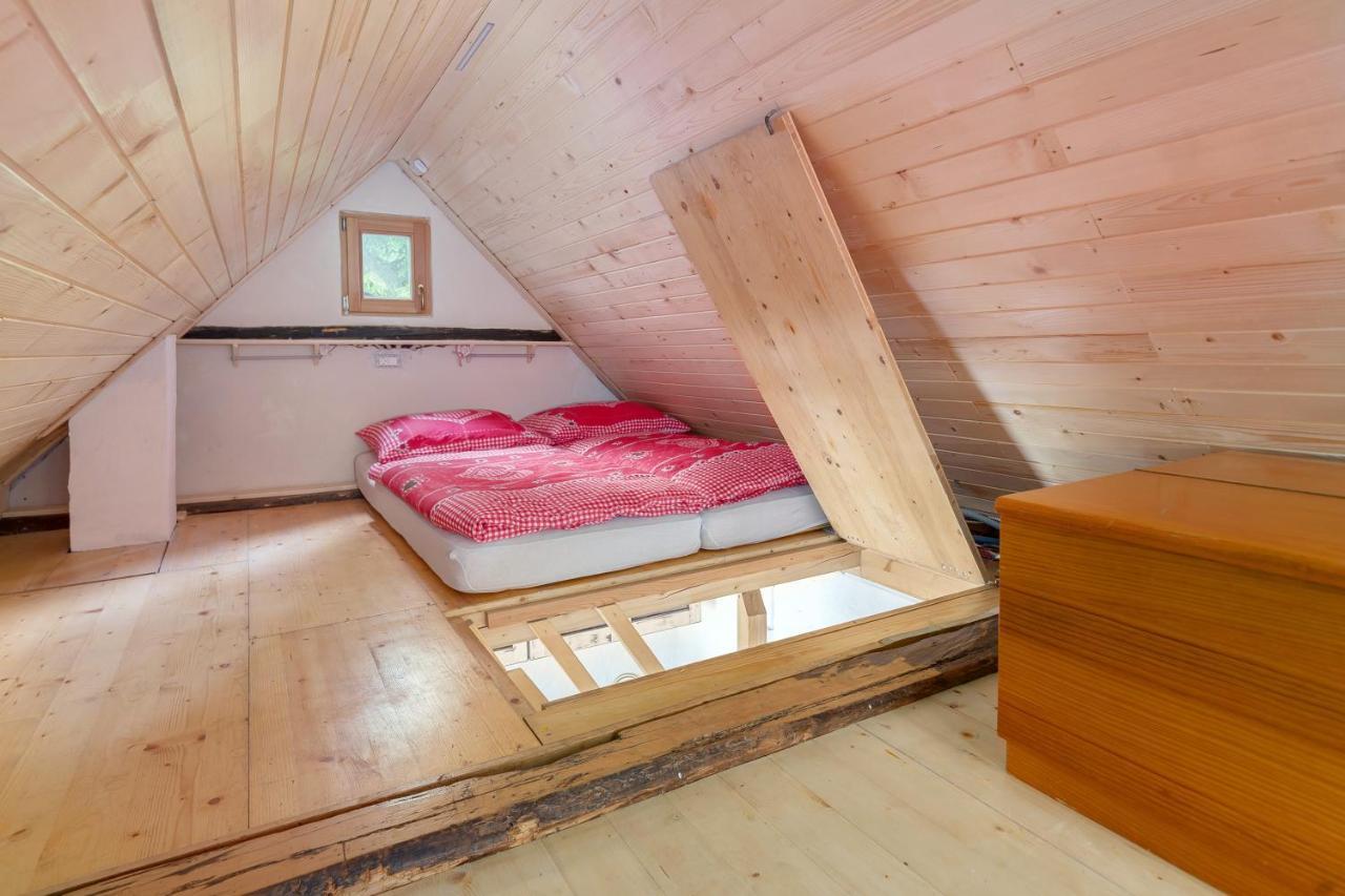 Lizina Hiska House Bohinj Villa Bohinjska Bistrica Eksteriør bilde
