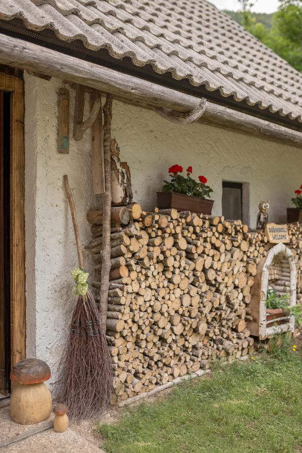 Lizina Hiska House Bohinj Villa Bohinjska Bistrica Eksteriør bilde