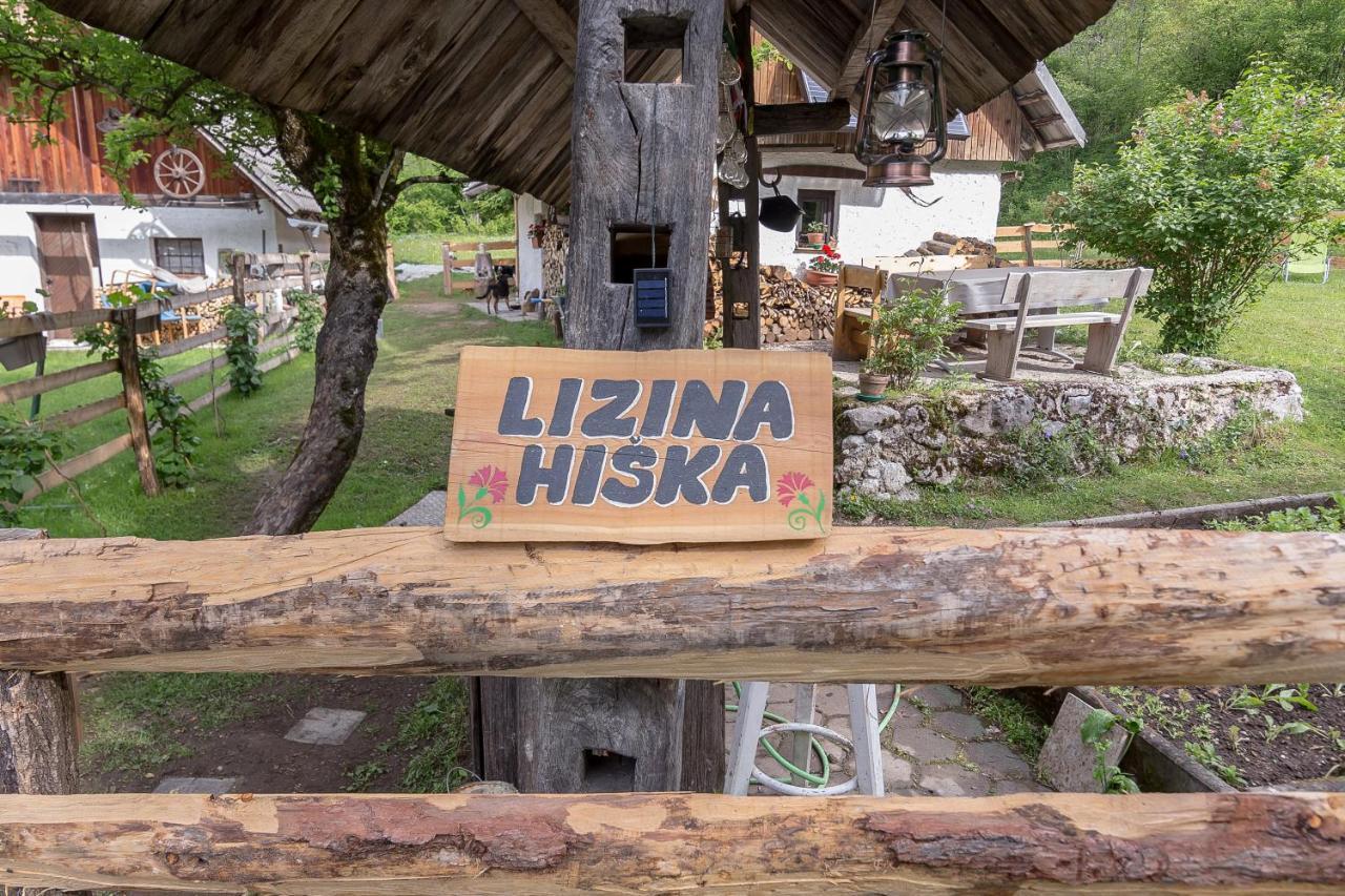 Lizina Hiska House Bohinj Villa Bohinjska Bistrica Eksteriør bilde