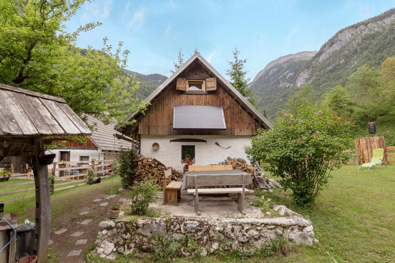 Lizina Hiska House Bohinj Villa Bohinjska Bistrica Eksteriør bilde
