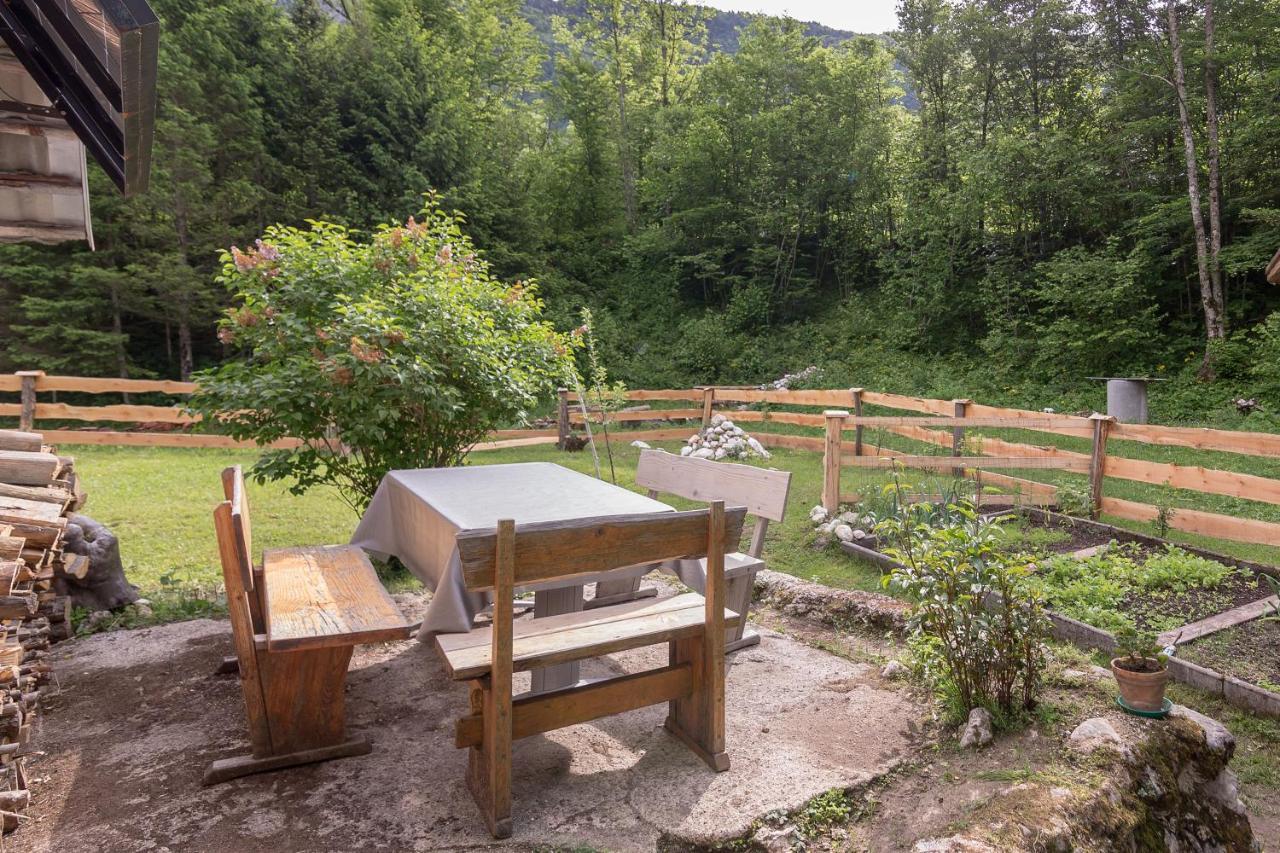 Lizina Hiska House Bohinj Villa Bohinjska Bistrica Eksteriør bilde